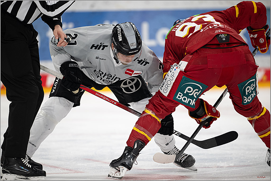 PENNY DEL 1; Düsseldorfer EG - Kölner Haie; Düsseldorf, 24.01.2025